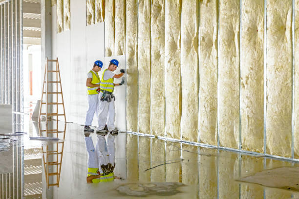 Best Insulation Maintenance and Repair in Stallings, NC